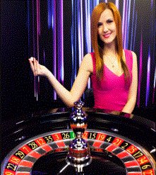 casinosforcanadians.com casino platforms